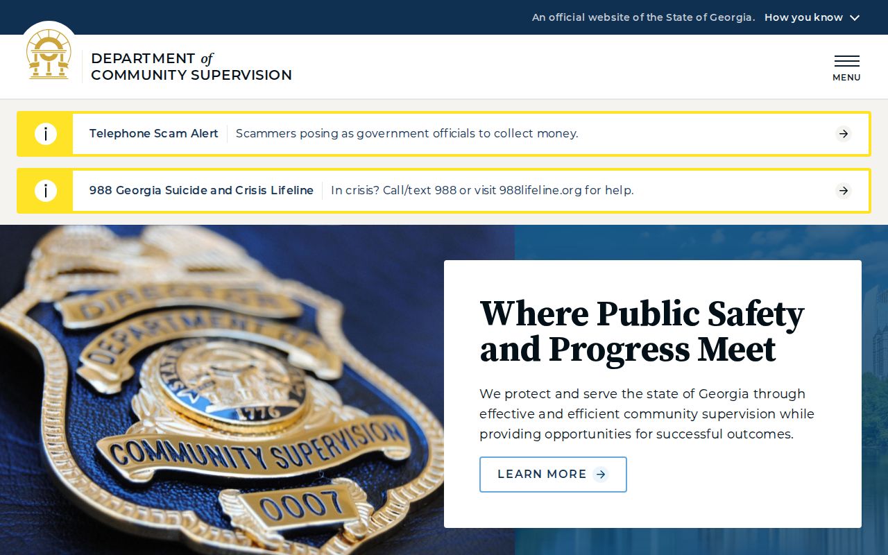 Georgia community supervision source for Ray City criminal records